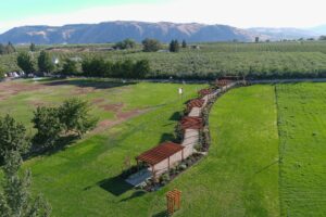Aerial Photographs from Lubbock Based Company